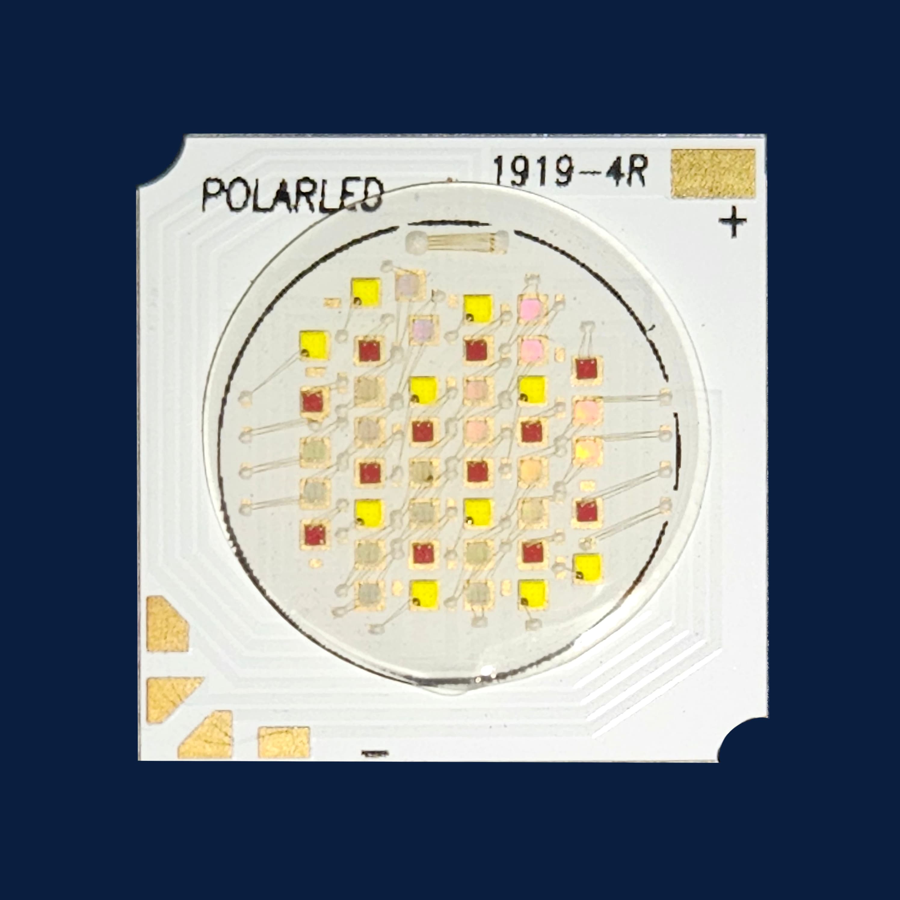 PL-1919-RGBW